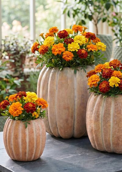 Jardinières en forme des citrouelles