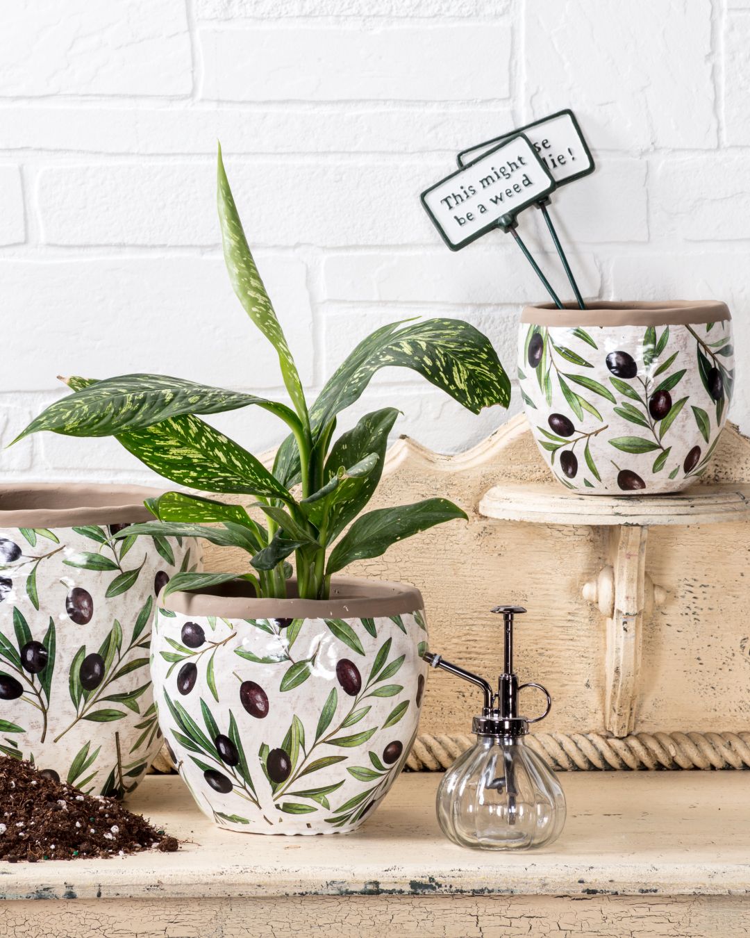 Fresh picks for olive-inspired entertaining! Check out our curated serving pieces, kitchen accents, and entertaining essentials, inspired by sunny Mediterranean living. 🫒🫒🫒⁠