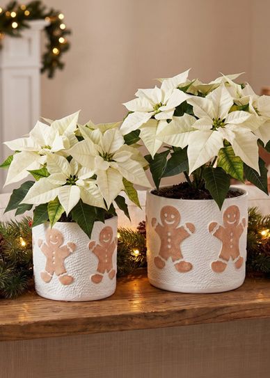 Gingerbread Planters