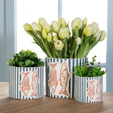 Nautical products