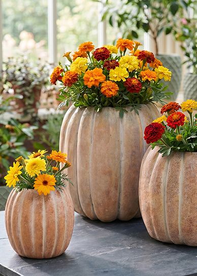 Pumpkin planters