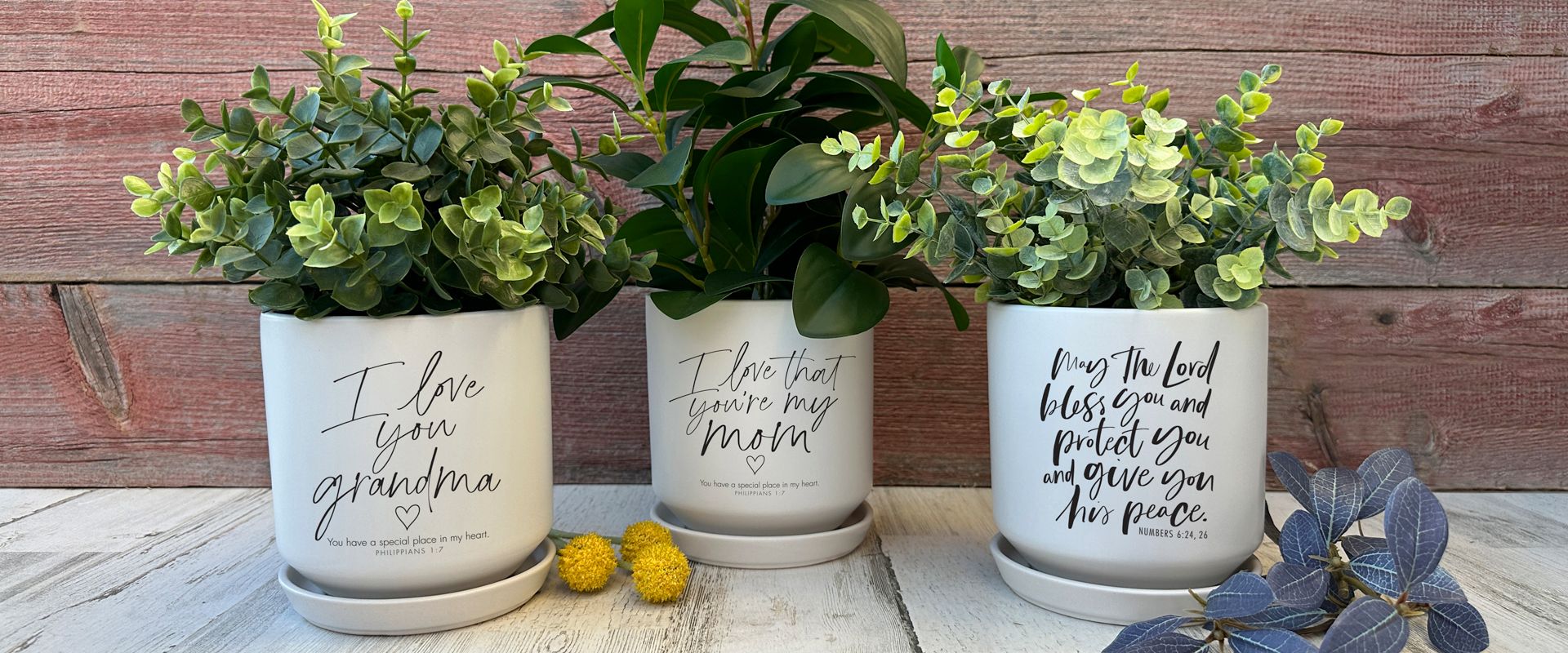 Bright and Happy Planters