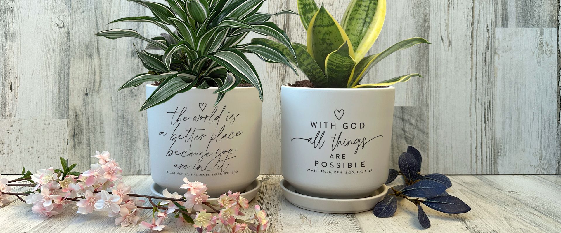 Boldy Believe Mugs