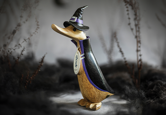 Duck with Halloween cap