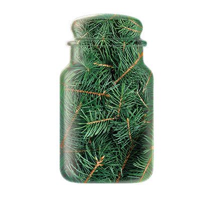 Woody fragrance jar