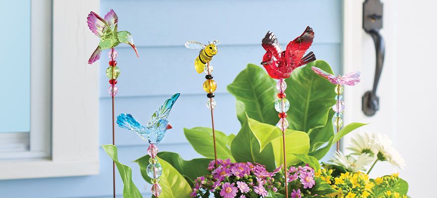 facets garden birds