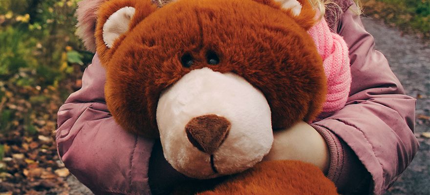 Boyds Bears