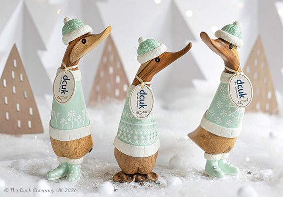 Duck with Halloween cap