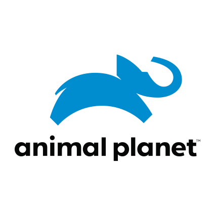 Animal Planet Logo Animal Planet Logo