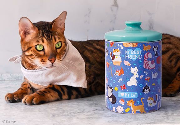 Cat Cannister Cat Cannister