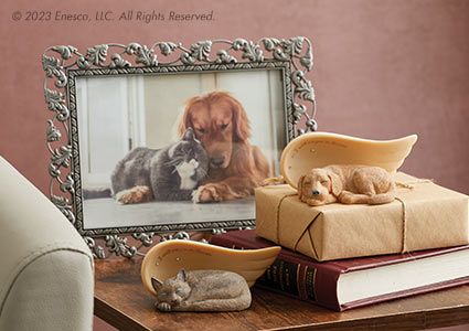Foundations Pets Accessories 