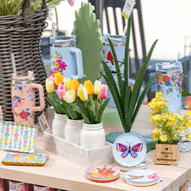 Preorder Spring Summer | Evergreen Wholesale