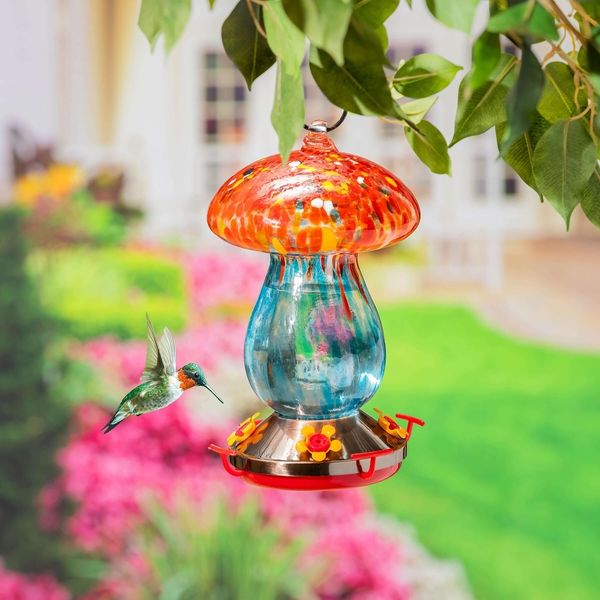 Shop Birds and Nature