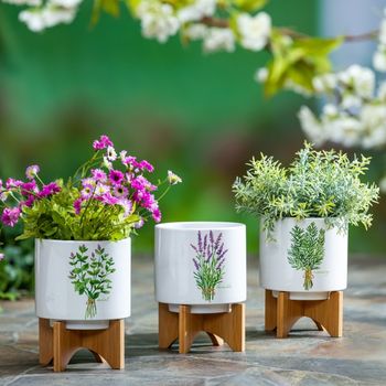 Shop Planters and Planters