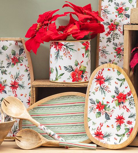 Shop Poinsettia Bliss