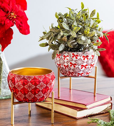 Shop feels like the holidays