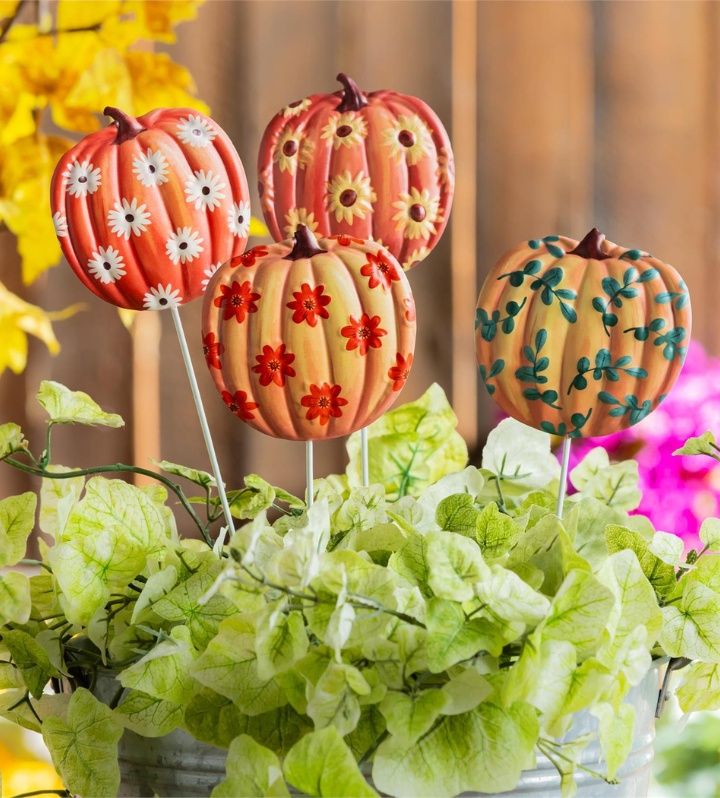 Shop Harvest Blossom