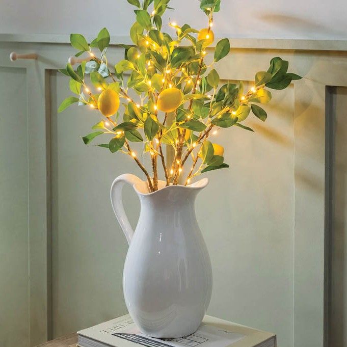 Shop Spring Summer 2027 Home and Gift Catalog
