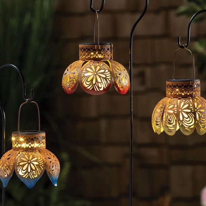 Shop Spring & Summer 2027 Garden Catalog
