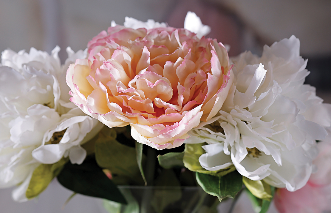 John Richard Botanicals