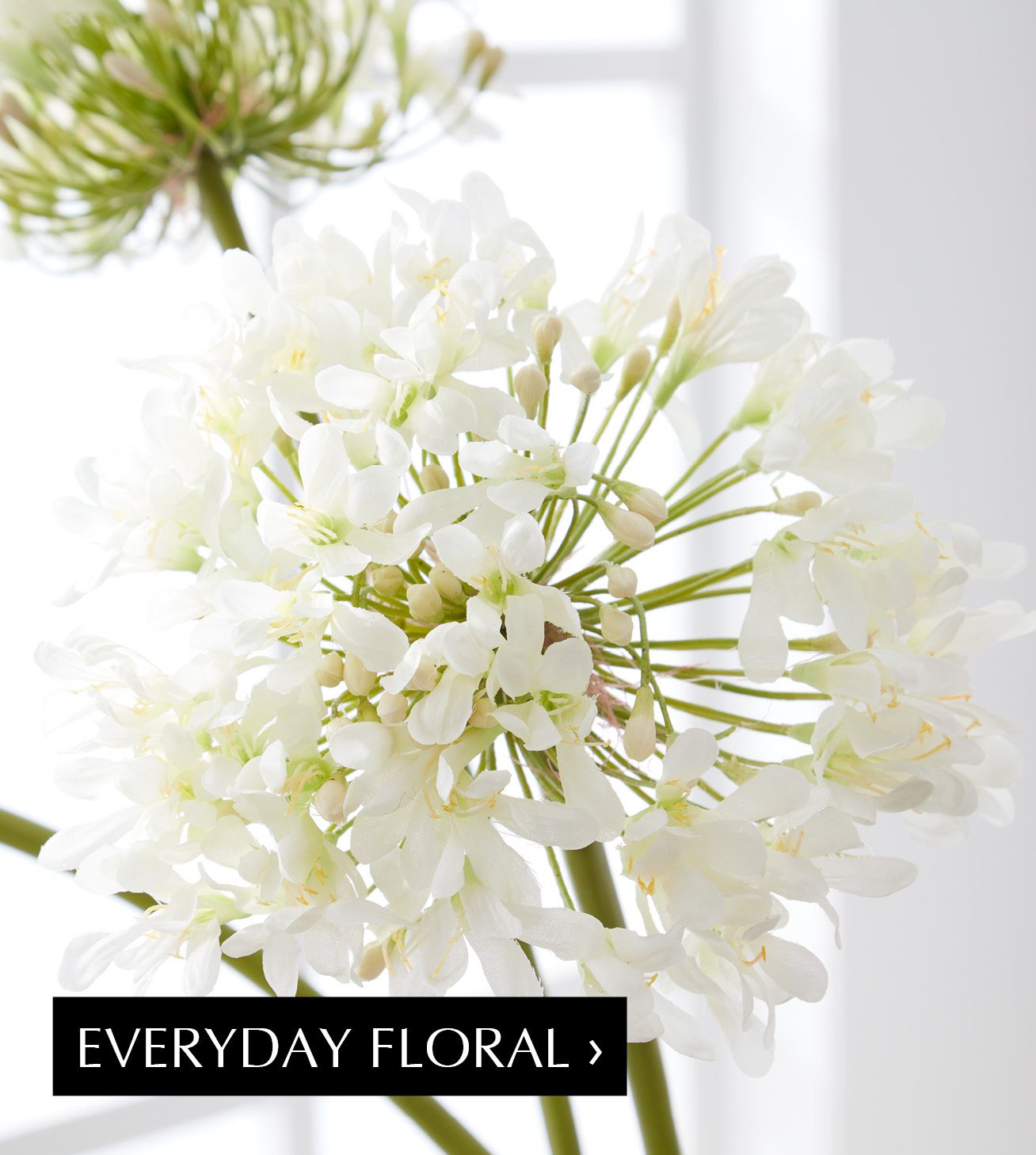 Link to Everyday Floral Catalog; White flower floral stem