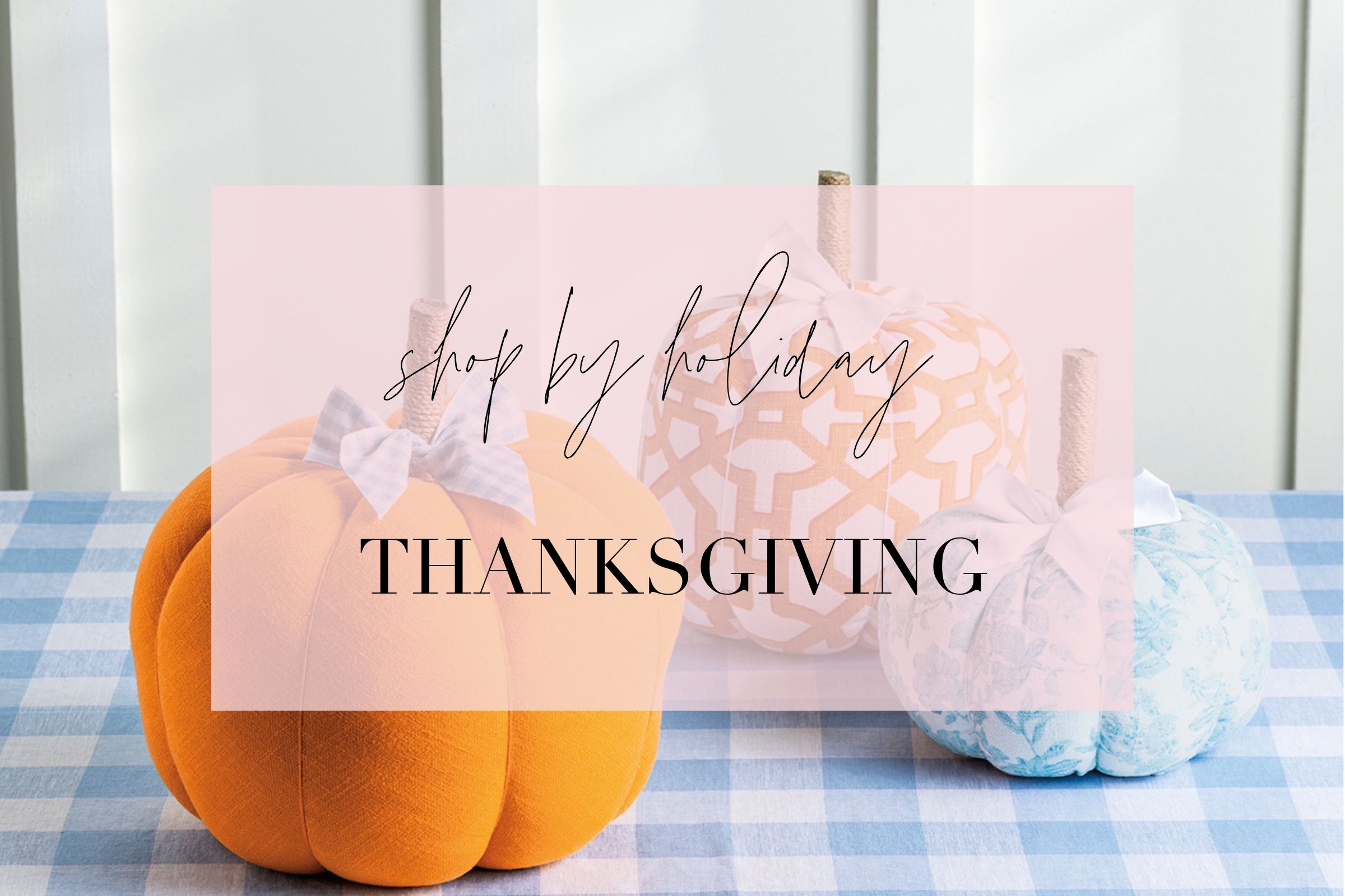 https://wholesale.mudpie.com/shop/?Seasonal=Thanksgiving&$MultiView=Yes&orderBy=Featured,-Id&context=shop&page=1