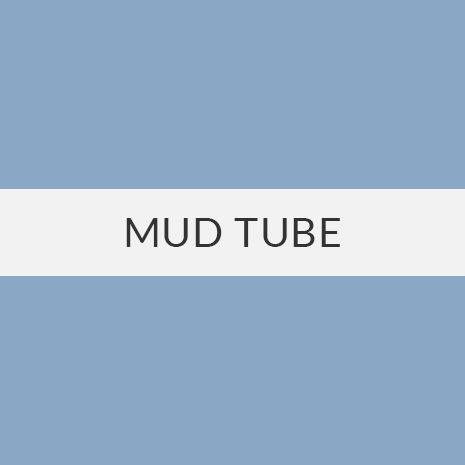 mud tube videos