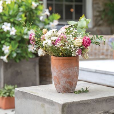 Garden and Floral