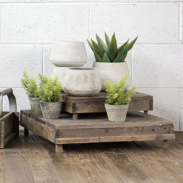 Plant Stands