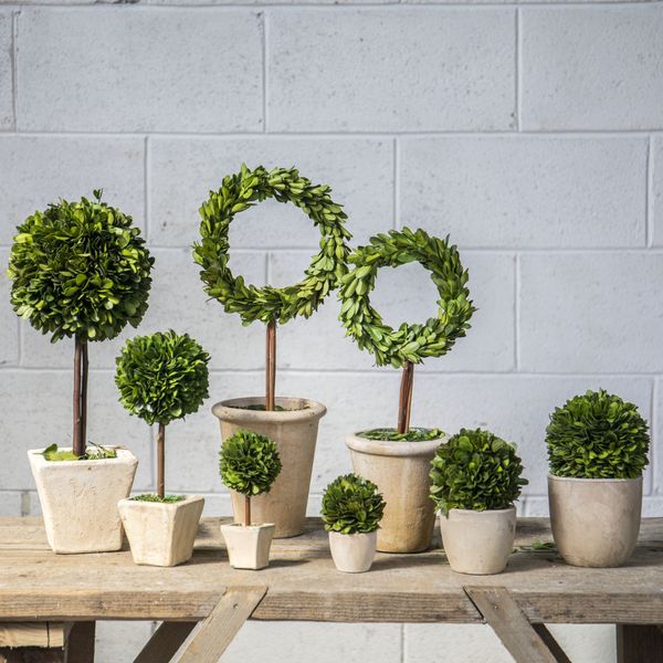 Shop Decor
