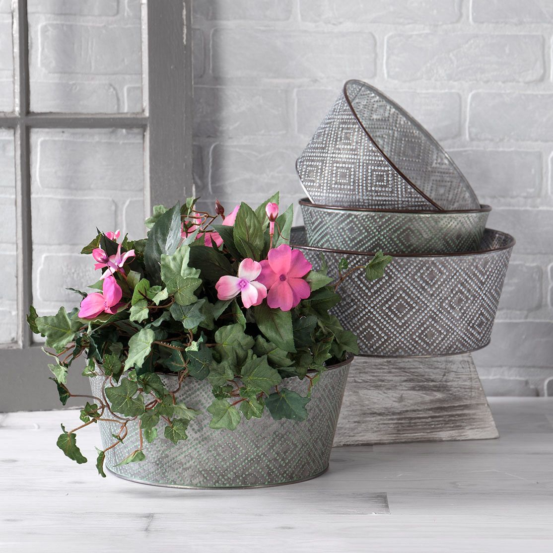 Dish Gardens