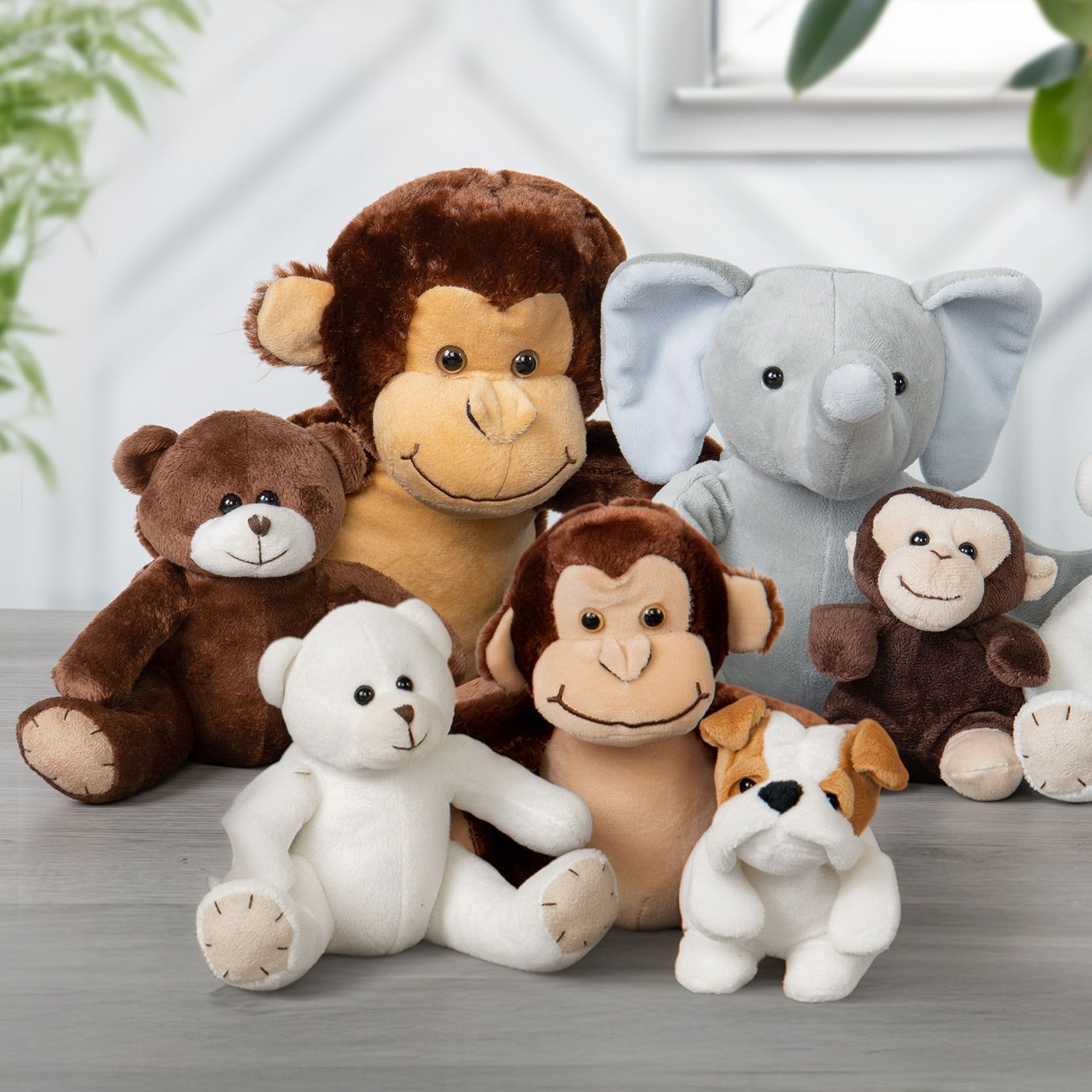 Plush Collection