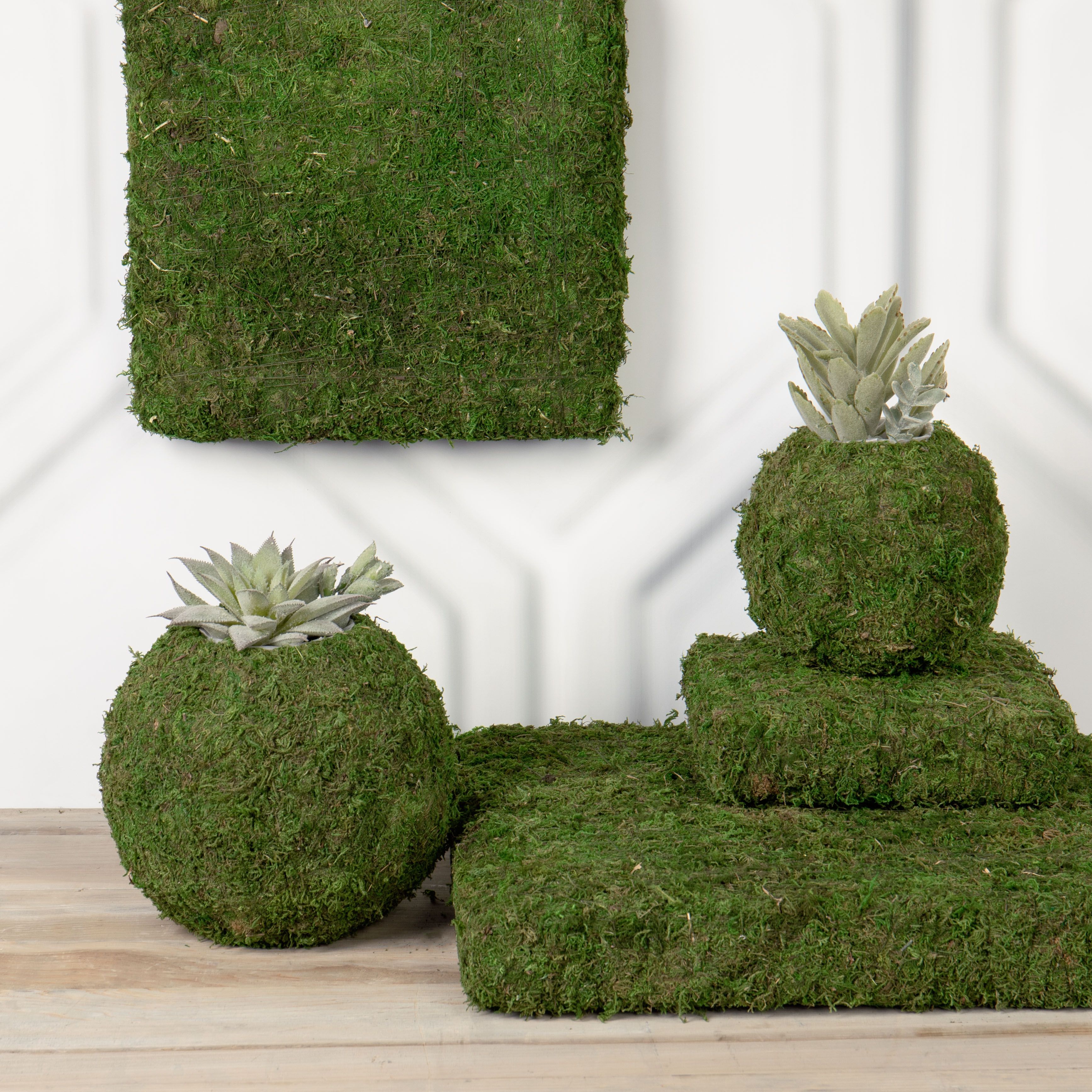 Moss Collection