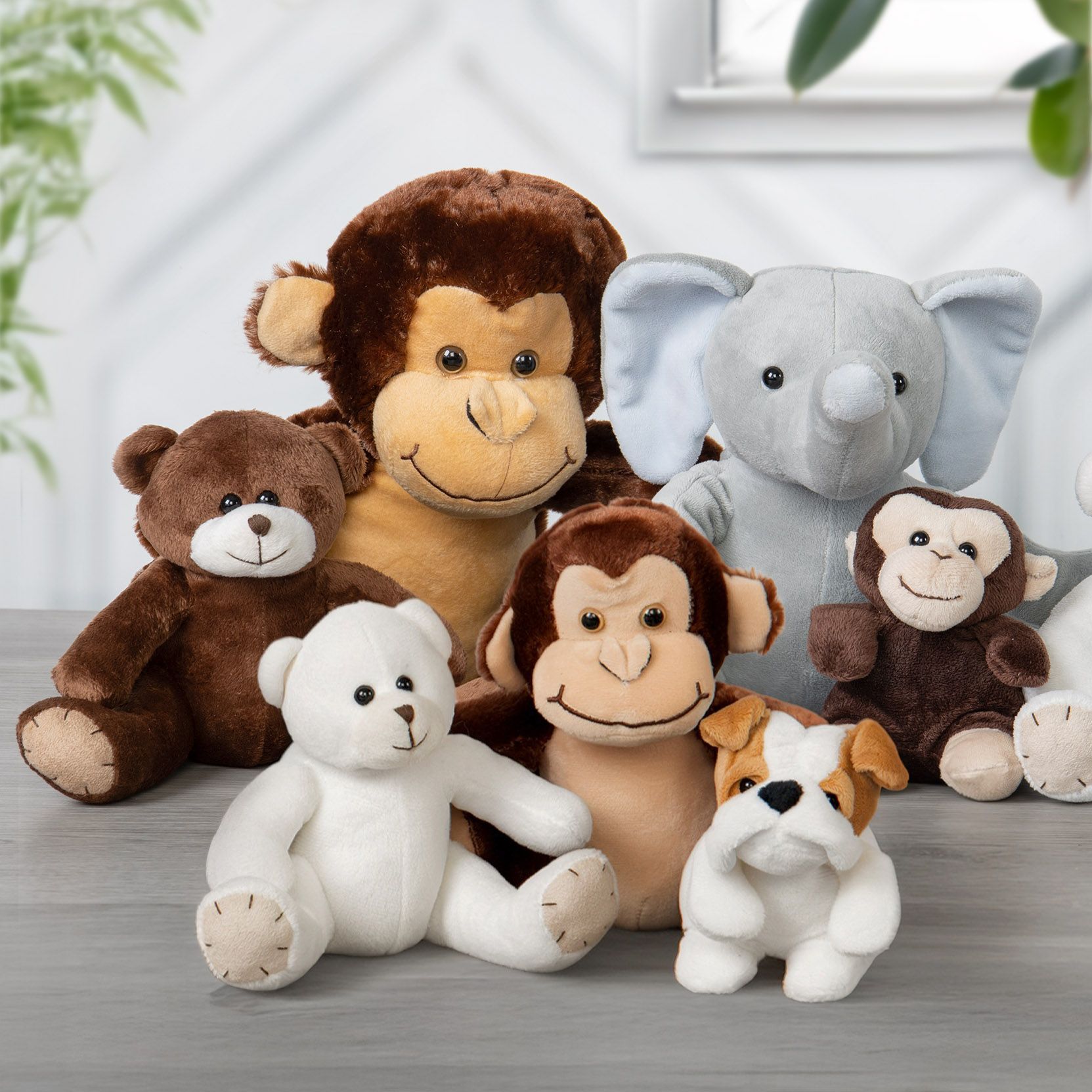 Plush Collection