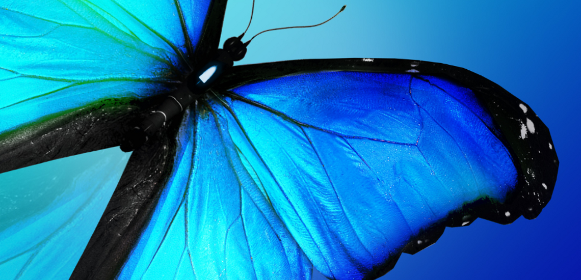 Vibrant blue butterfly with black-edged wings against a soft blue gradient background.
