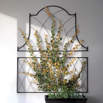 Garden & Floral