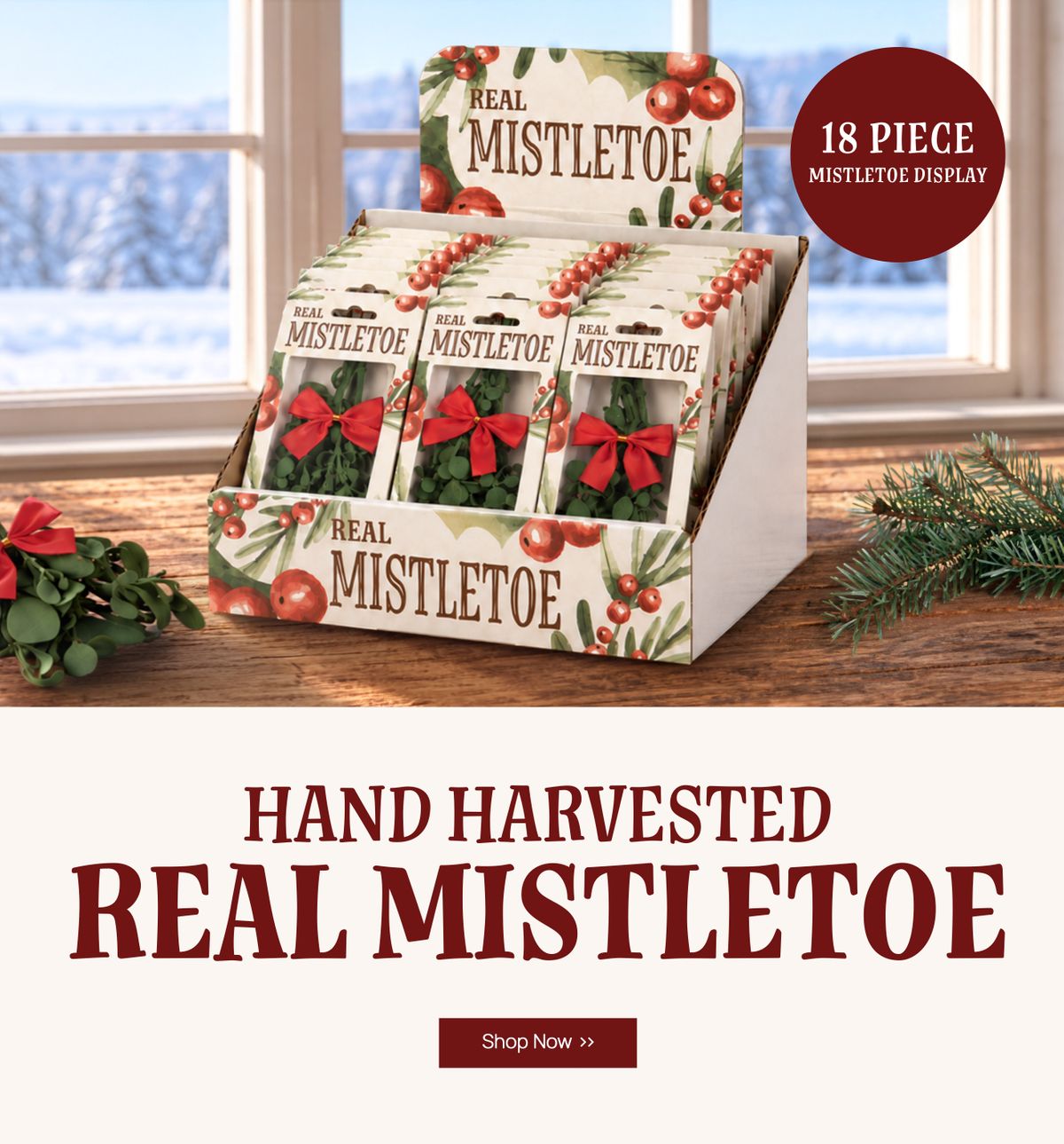 Real Mistletoe
