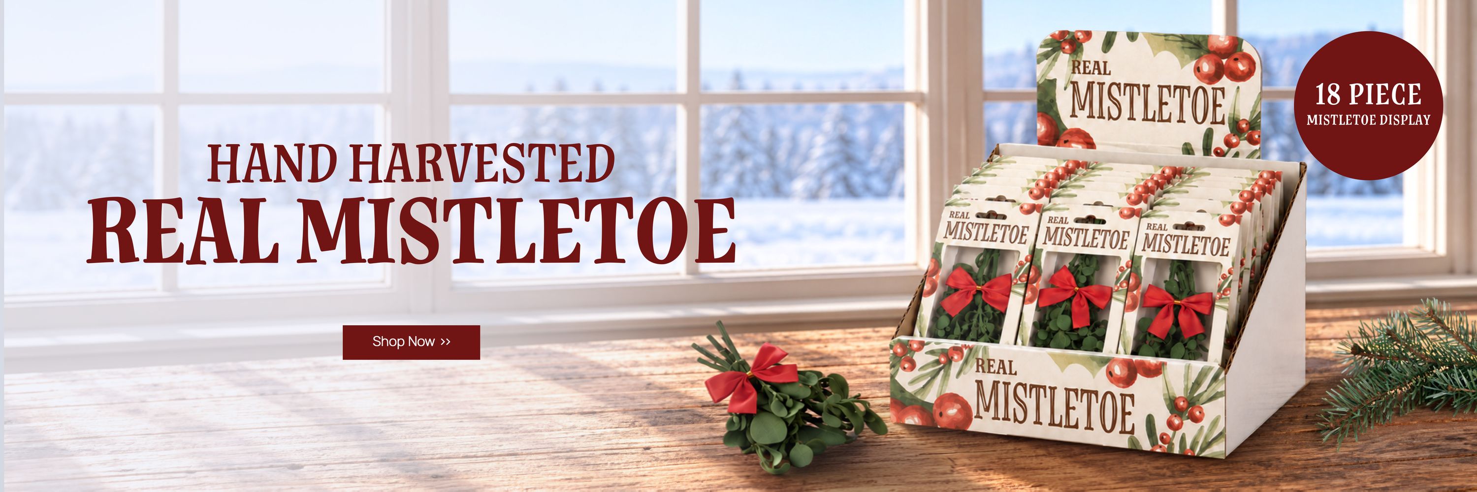 Real Mistletoe