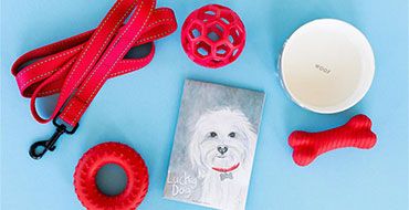 Wholesale Pet Gifts