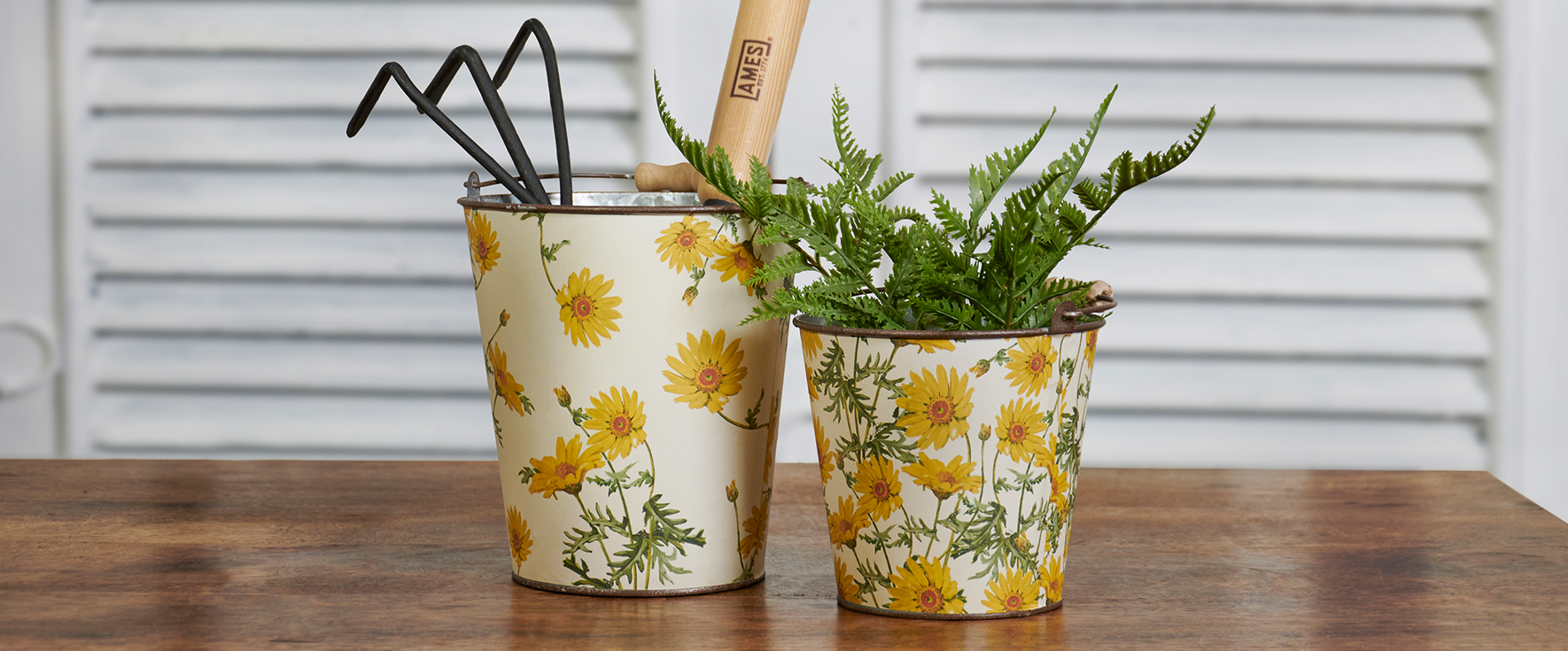 Wholesale Every Daisy Bucket Set