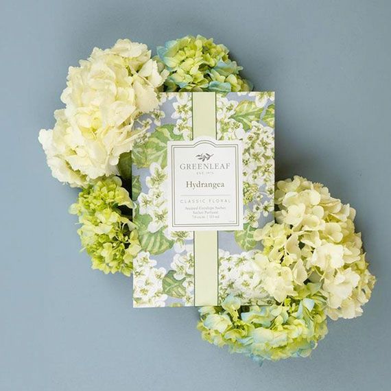 Greenleaf Hydrangea Large Sachet