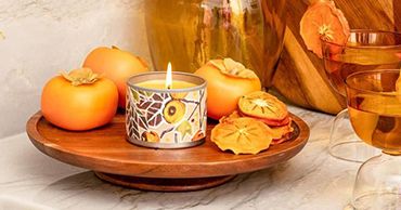 Harvest & Halloween Featured Collection